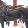 Pair Horse BioThane Harness With Back Band