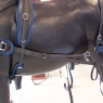 Pair Horse BioThane-Maraton Harness With Breeching